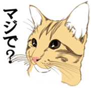 Scarf cat sticker #5815081
