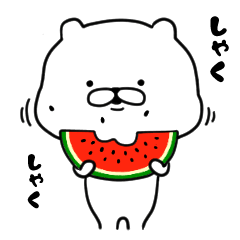 The white and cute bear