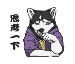 Hoodie series: Dog sticker #5816963