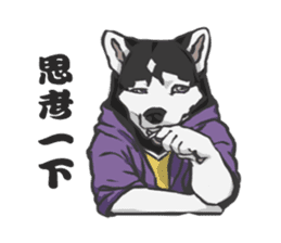 Hoodie series: Dog sticker #5816963