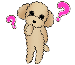 The Toy Poodle stickers sticker #5817083
