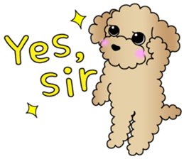 The Toy Poodle stickers sticker #5817084
