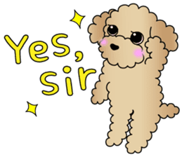 The Toy Poodle stickers sticker #5817084