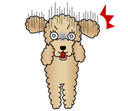 The Toy Poodle stickers sticker #5817107