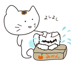 It's a brown mackerel tabby sticker #5820875