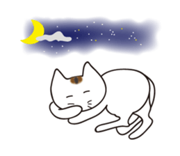 It's a brown mackerel tabby sticker #5820891