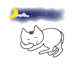 It's a brown mackerel tabby sticker #5820891