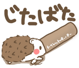Softly little Hedgehogs 'Hari-san' 3 sticker #5821179