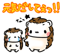 Softly little Hedgehogs 'Hari-san' 3 sticker #5821187