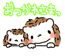Softly little Hedgehogs 'Hari-san' 3 sticker #5821188
