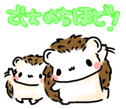 Softly little Hedgehogs 'Hari-san' 3 sticker #5821189