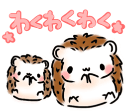 Softly little Hedgehogs 'Hari-san' 3 sticker #5821190