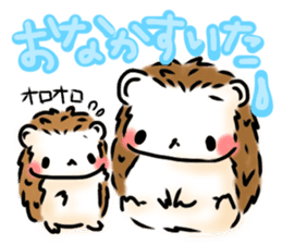 Softly little Hedgehogs 'Hari-san' 3 sticker #5821196