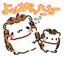 Softly little Hedgehogs 'Hari-san' 3 sticker #5821199