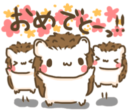 Softly little Hedgehogs 'Hari-san' 3 sticker #5821200