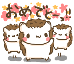 Softly little Hedgehogs 'Hari-san' 3 sticker #5821200