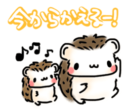 Softly little Hedgehogs 'Hari-san' 3 sticker #5821202
