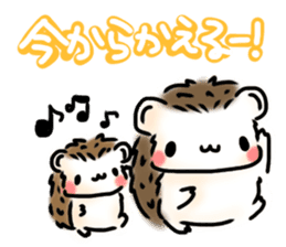 Softly little Hedgehogs 'Hari-san' 3 sticker #5821202