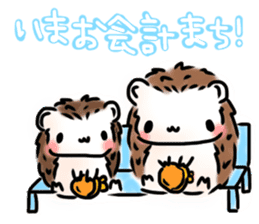 Softly little Hedgehogs 'Hari-san' 3 sticker #5821204