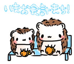 Softly little Hedgehogs 'Hari-san' 3 sticker #5821204