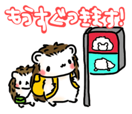 Softly little Hedgehogs 'Hari-san' 3 sticker #5821205