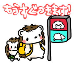 Softly little Hedgehogs 'Hari-san' 3 sticker #5821205