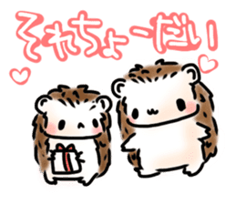 Softly little Hedgehogs 'Hari-san' 3 sticker #5821207