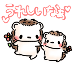 Softly little Hedgehogs 'Hari-san' 3 sticker #5821210