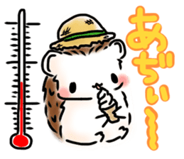Softly little Hedgehogs 'Hari-san' 3 sticker #5821211