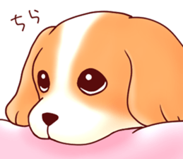 Dog!Dog!!Dog!!!2 sticker #5822994