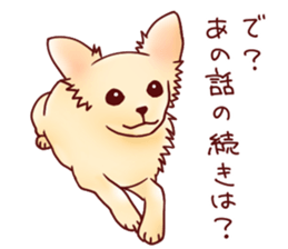 Dog!Dog!!Dog!!!2 sticker #5823007