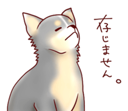 Dog!Dog!!Dog!!!2 sticker #5823008