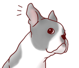 Dog!Dog!!Dog!!!2 sticker #5823022