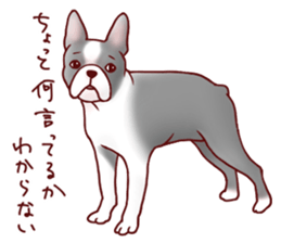 Dog!Dog!!Dog!!!2 sticker #5823024