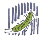 Mr,Euglena Ver2 sticker #5823049
