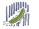 Mr,Euglena Ver2 sticker #5823049