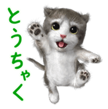 Cu Mofu Kitten2 sticker #5823569