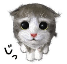 Cu Mofu Kitten2 sticker #5823573