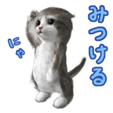 Cu Mofu Kitten2 sticker #5823577