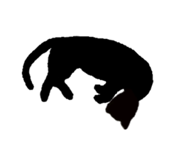 cat cat cat~ sticker #5824575