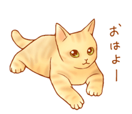 Cat!Cat!!Cat!!!! sticker #5825122