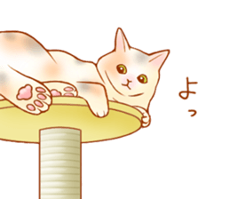 Cat!Cat!!Cat!!!! sticker #5825127