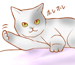 Cat!Cat!!Cat!!!! sticker #5825134