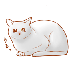 Cat!Cat!!Cat!!!! sticker #5825136