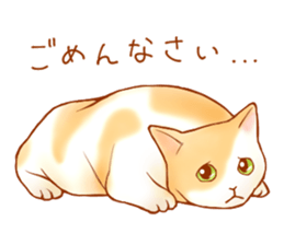 Cat!Cat!!Cat!!!! sticker #5825137