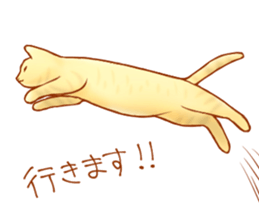 Cat!Cat!!Cat!!!! sticker #5825148