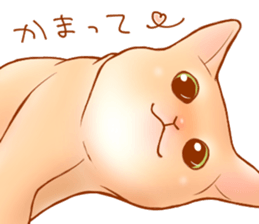 Cat!Cat!!Cat!!!! sticker #5825151