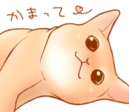 Cat!Cat!!Cat!!!! sticker #5825151