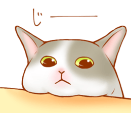 Cat!Cat!!Cat!!!! sticker #5825154