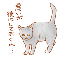 Cat!Cat!!Cat!!!! sticker #5825158